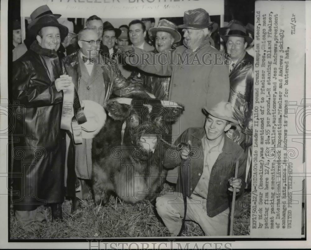 1952 Press Photo Ohio Leader II Grand champion steer in Chicago, El Pfaelzer - Historic Images