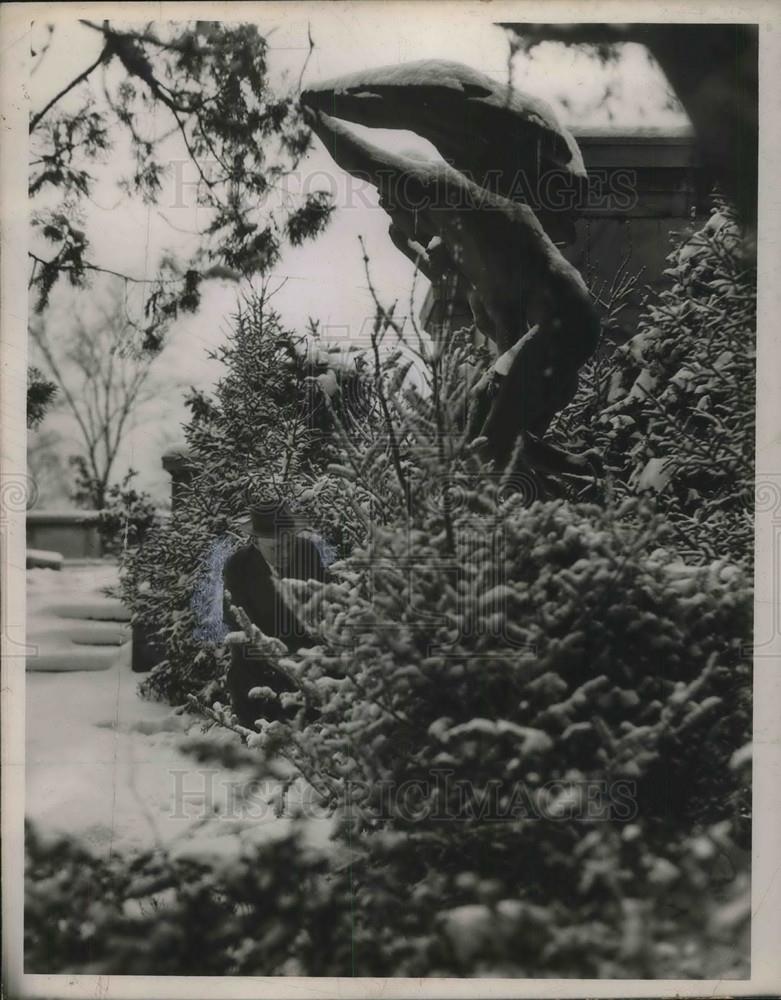 1949 Press Photo Malcolm Martin gardener at Cleveland Art museum - neb62929 - Historic Images