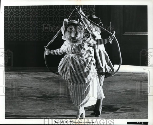 1972 Press Photo Peter Rabbit & The Tale of Beatrix Potter - cvp80611 - Historic Images