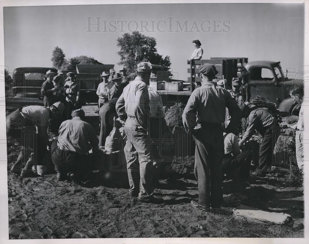 1947 Press Photo Workers bolster levee vs floods at St Francisville Mo - Historic Images