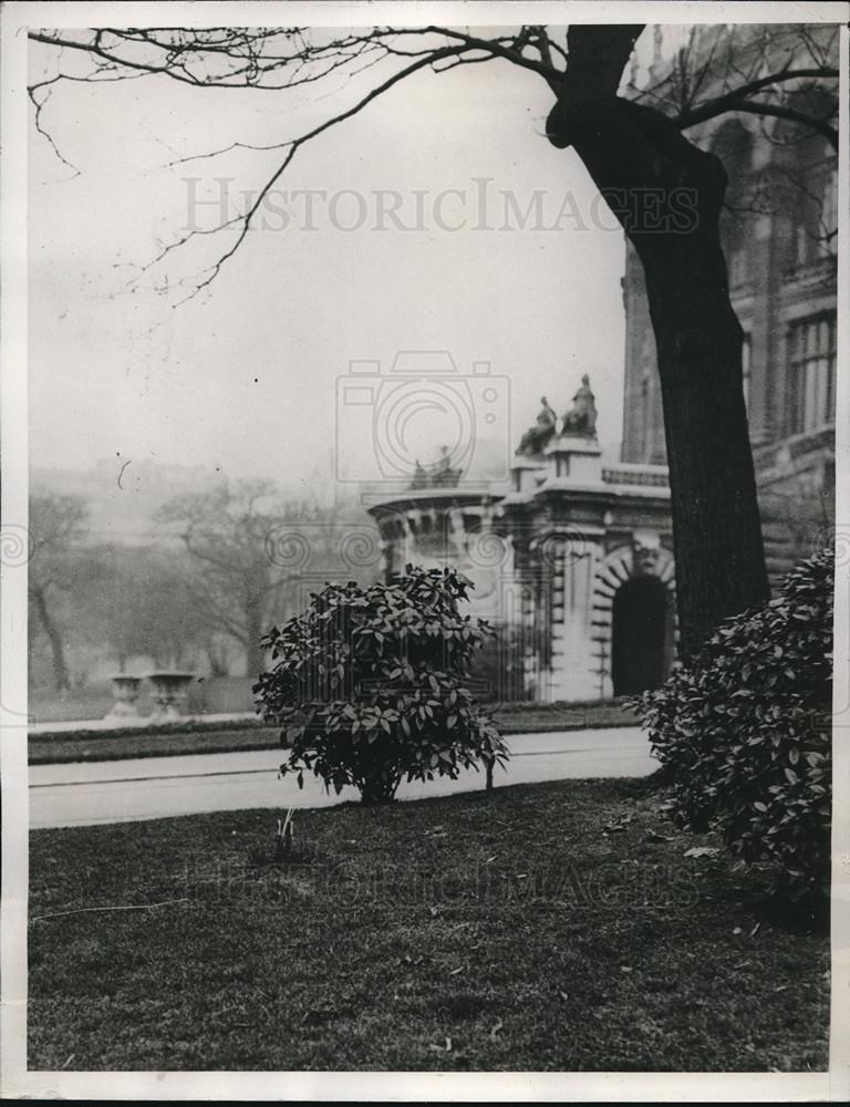 1933 Press Photo Remains of the Trees destroy by vandals in Trocadero Gardens - Historic Images