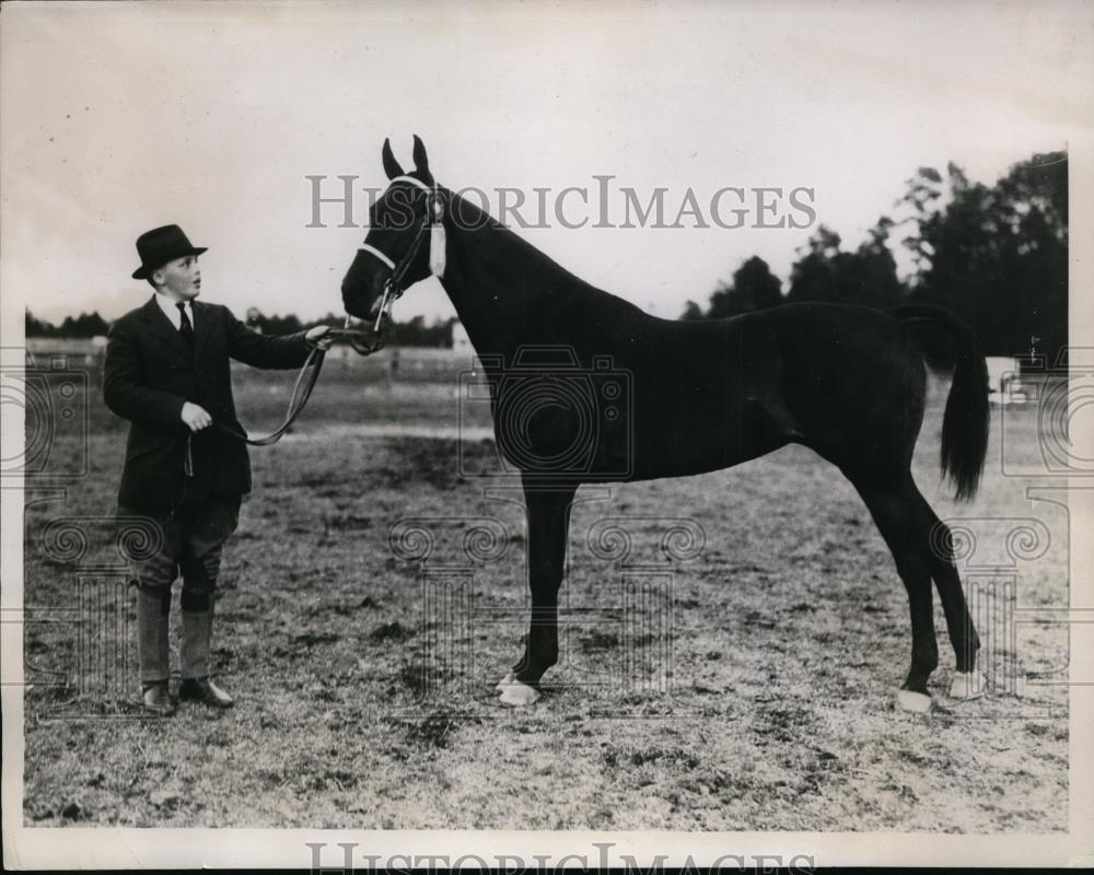 1934 Press Photo Three Gaited Championship Alexa with rider William Middleton - Historic Images