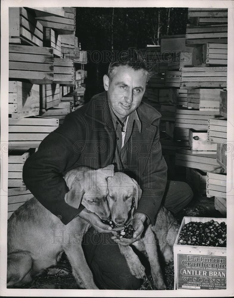 1948 Press Photo Vernon and Walter Goldsworthy produced their first Cranberries - Historic Images