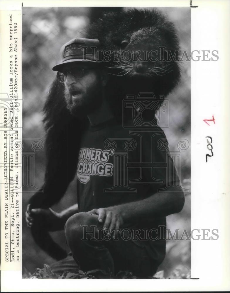 1990 Press Photo Jeff Gillium Exotic Animal Owner in Lodi Ohio with a Bentrong - Historic Images