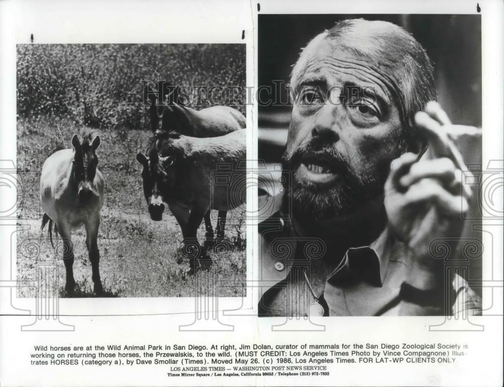 1986 Press Photo Jim Dolan Curator of Mammals San Diego Zoological Society - Historic Images