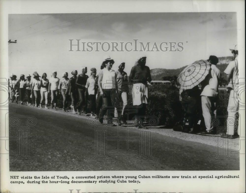 Press Photo Cuban Militants at Agriculture Training Camp - cvp19001 - Historic Images