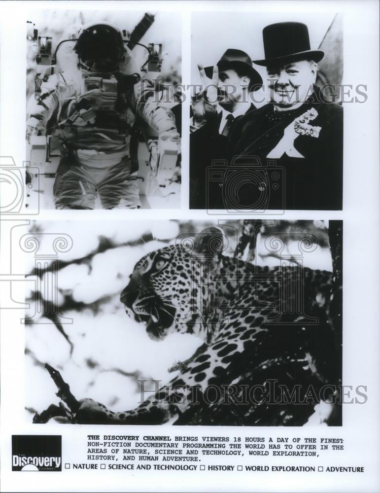 1986 Press Photo Winston Churchill Discovery Channel Documentary Program - Historic Images