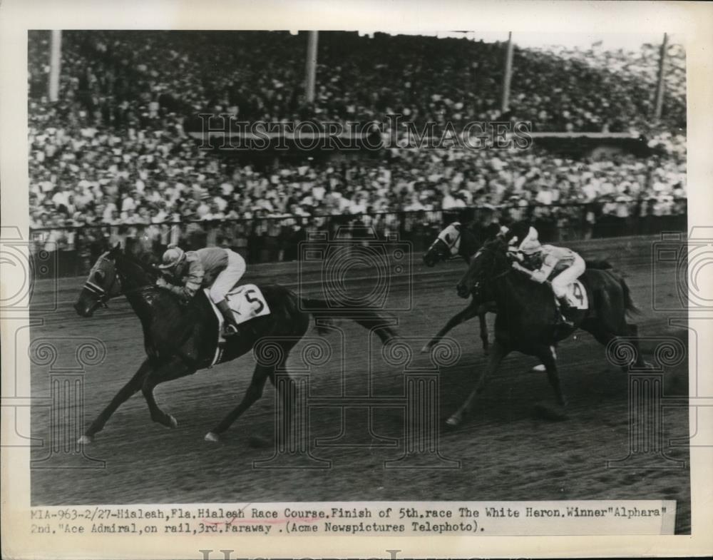 1948 Press Photo Hialeeah track Florida Alphara wins vs Ace Admiral, Faraway - Historic Images