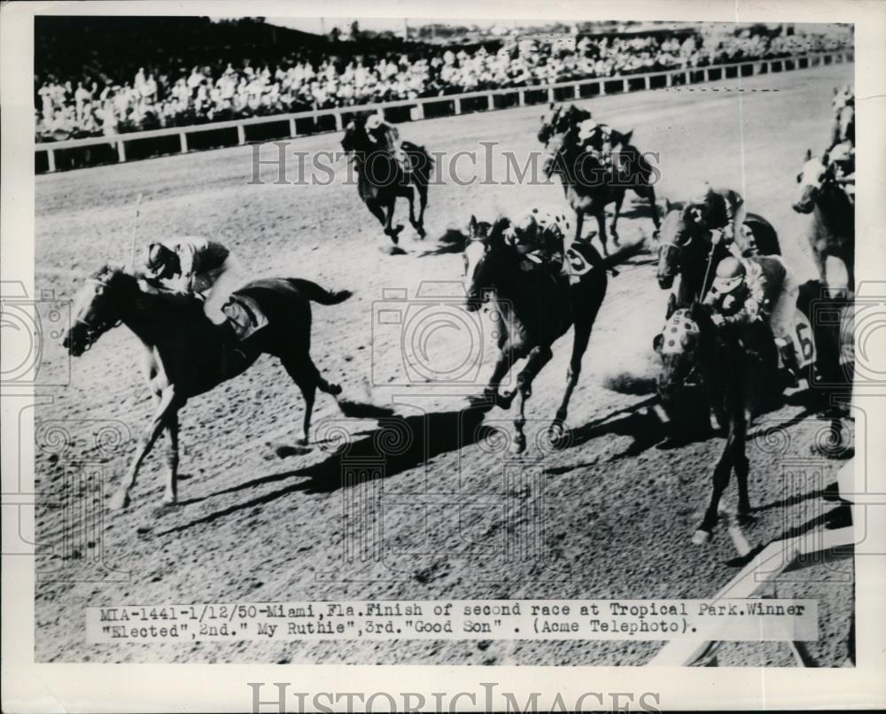 1950 Press Photo Miami Florida races Elected, My Ruthie & Good Son - nes49125 - Historic Images