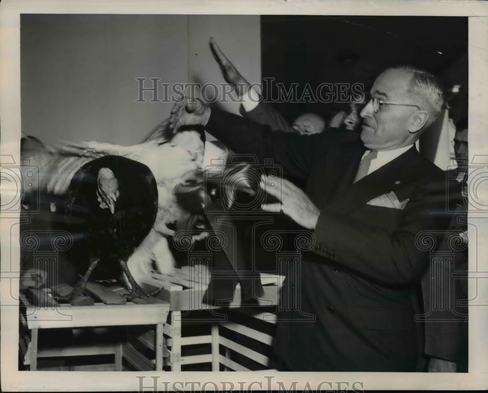 1948 Press Photo President Truman surprised by turkeys - nee93317 - Historic Images