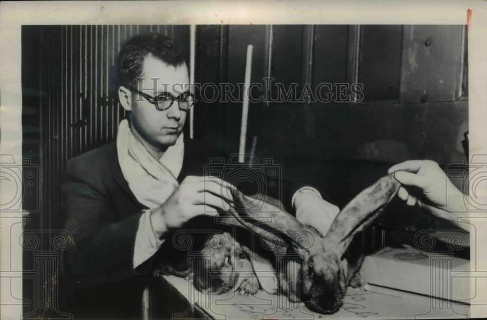 1948 Press Photo Thomas Coatham looks at pair of rabbits he sold  - nee92222 - Historic Images