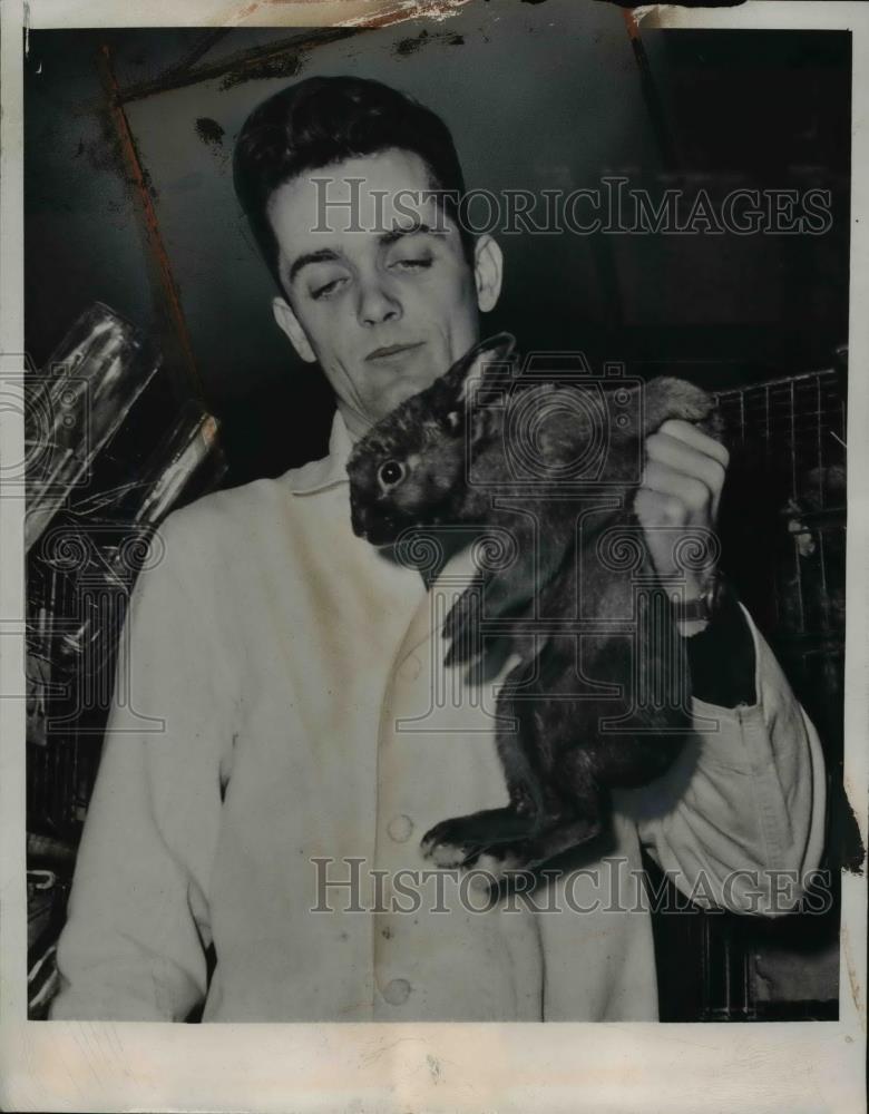 1947 Press Photo Storer Parsons holding a rabbit - nee93150 - Historic Images