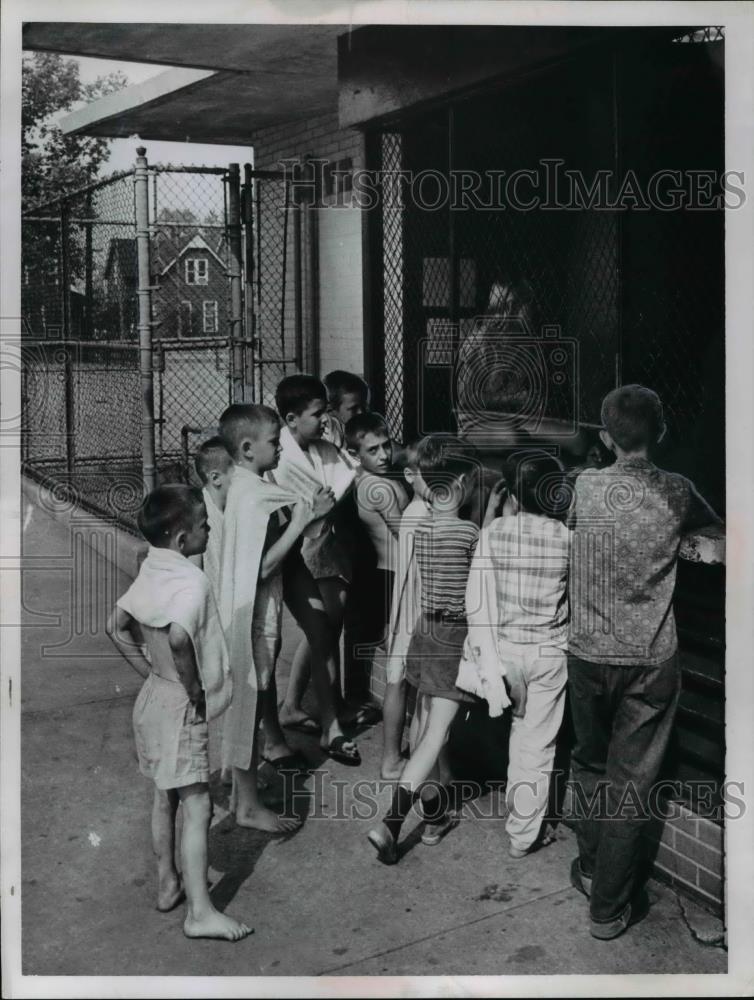 1966 Press Photo Youngsters waiting to get into Petri Pool - nee93141 - Historic Images