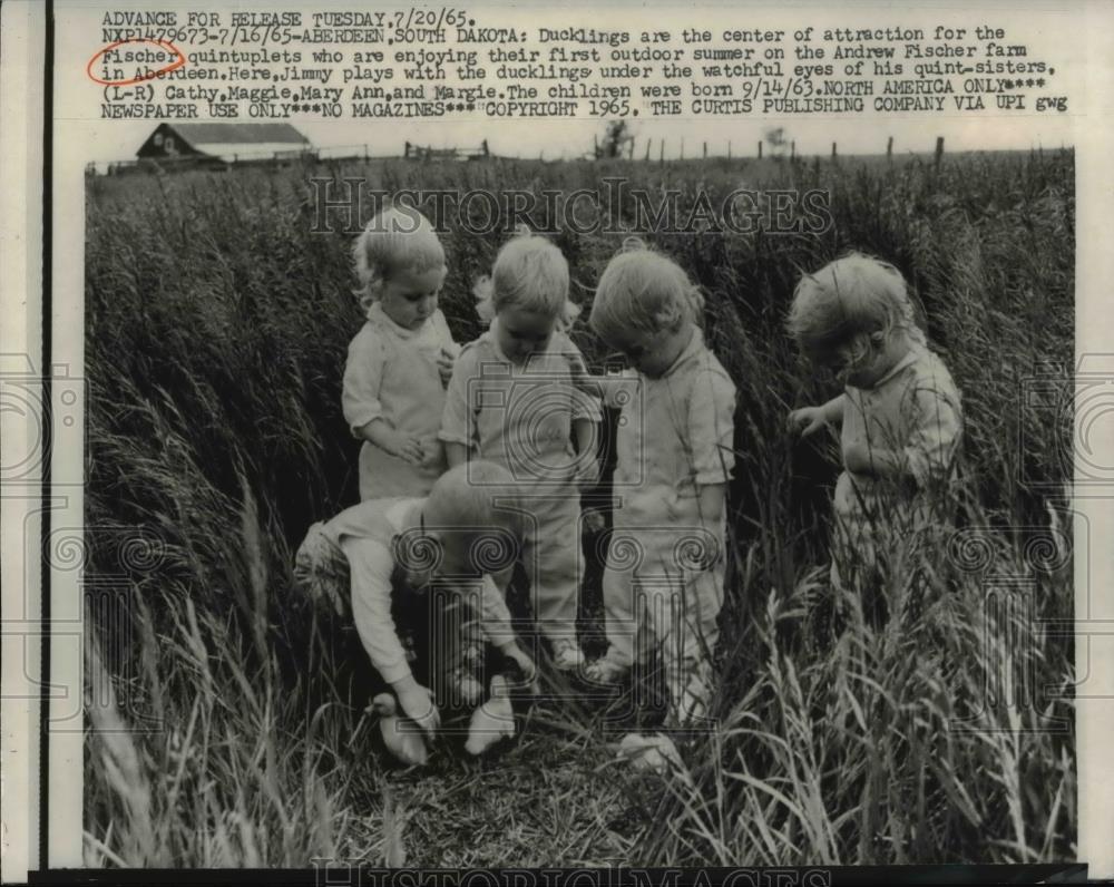 1965 Press Photo Fischer Quintuplets Looking At The Ducklings - nee91384 - Historic Images