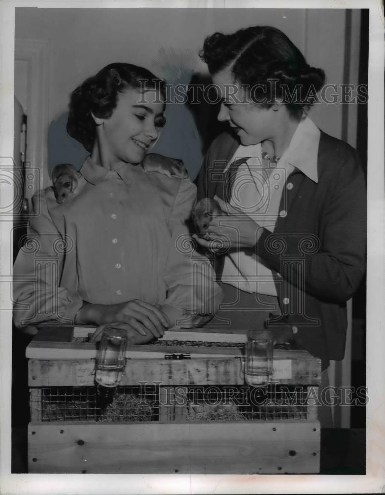 1953 Press Photo Mrs.Nelson C.Curtis and Daughter Karen with their Hamster Pets - Historic Images