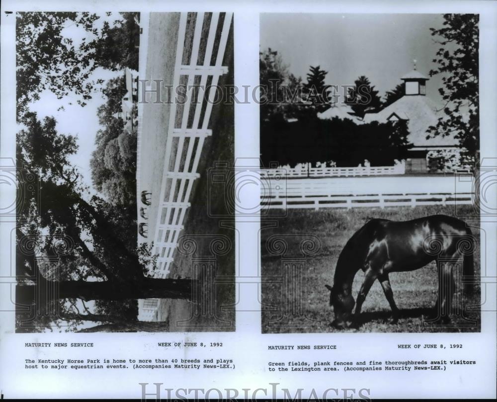 1992 Press Photo The Kentucky Horse Park home to 40 breeds and equestrian events - Historic Images