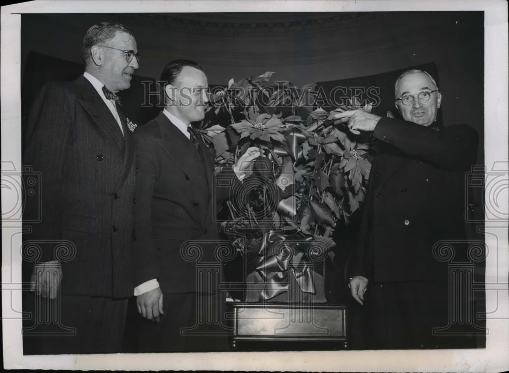 1947 Press Photo President Truman shown with poinsettia plant - nee91864 - Historic Images