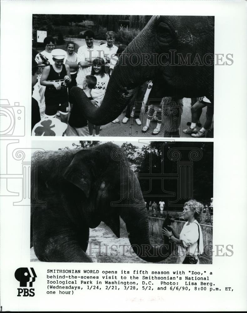 1990 Press Photo Smithsonian's National Zoological Park Washington DC - Historic Images