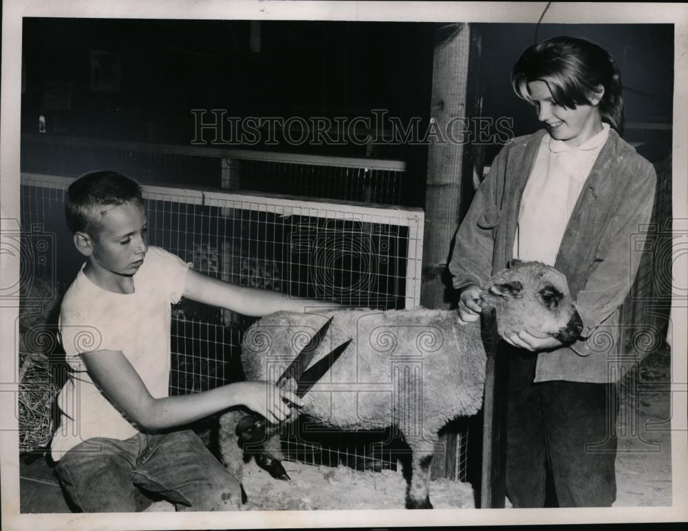 1959 Press Photo Sheep Shearing At Breckville County Fair - nef00790 - Historic Images