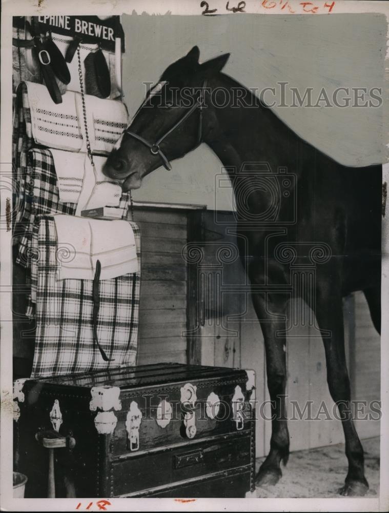 1936 Press Photo Horse race Josephine Brewer at stable in Indianapolis - Historic Images