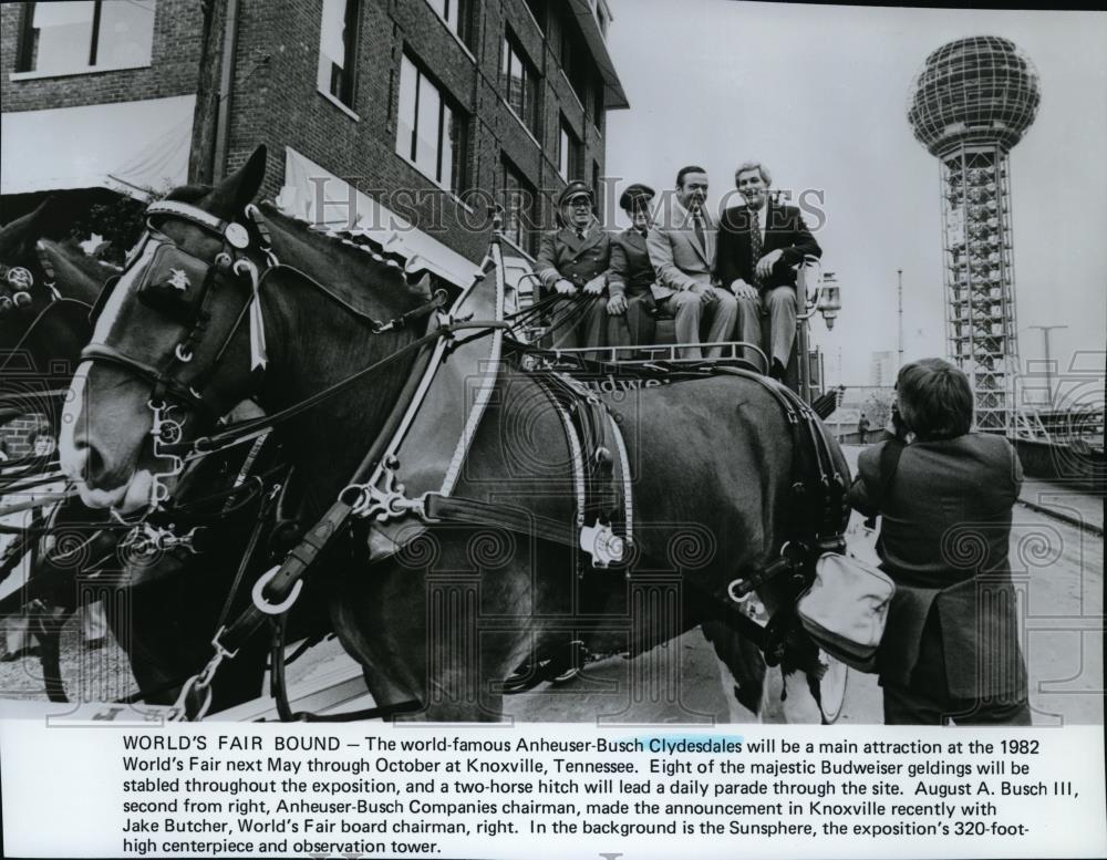 1982 Press Photo Clydesdale horses at Knoxville, Tennessee spa21931