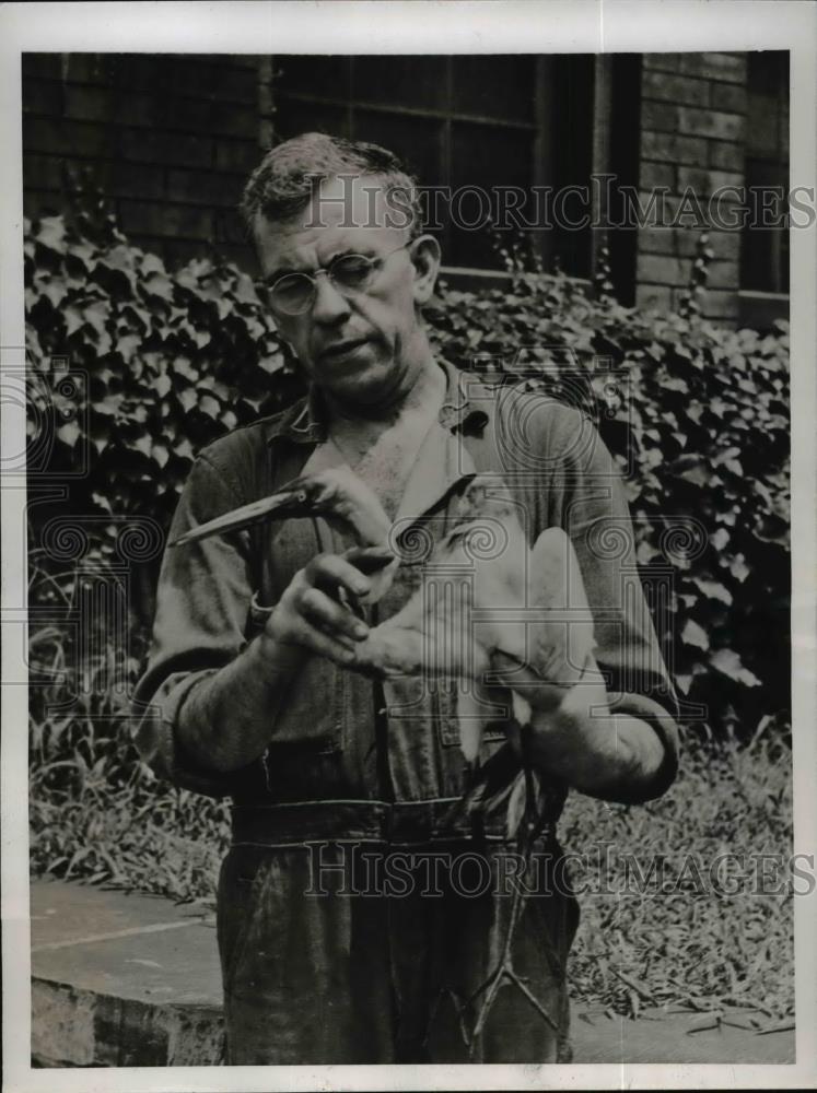 1945 Press Photo Philadelphia Zoo Keeper John Reagan rescues egret - nef01968 - Historic Images