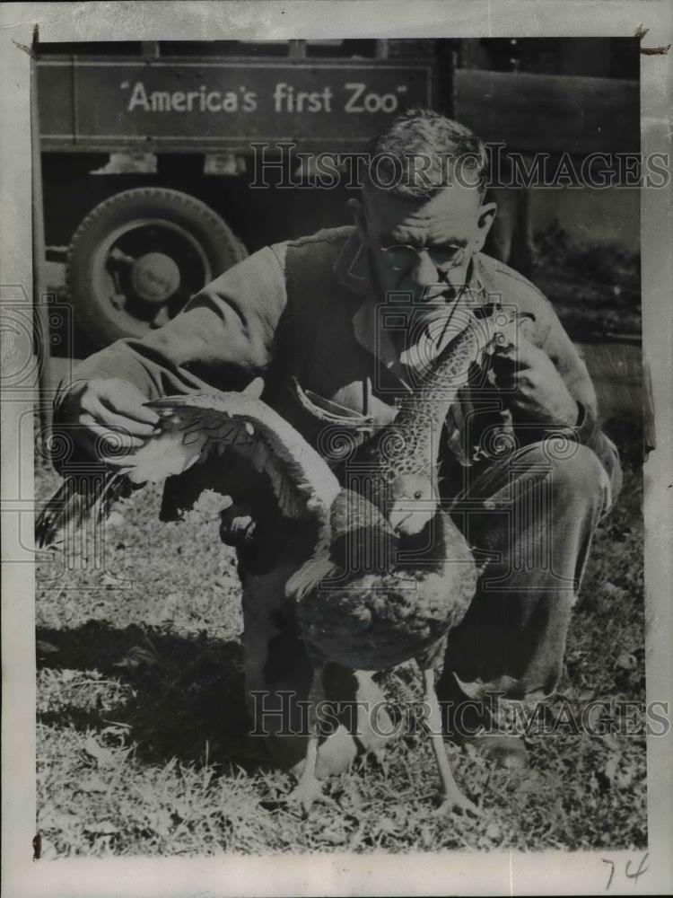 1945 Press Photo John Regan inspects wings of Derbian Screamer - nef01967 - Historic Images