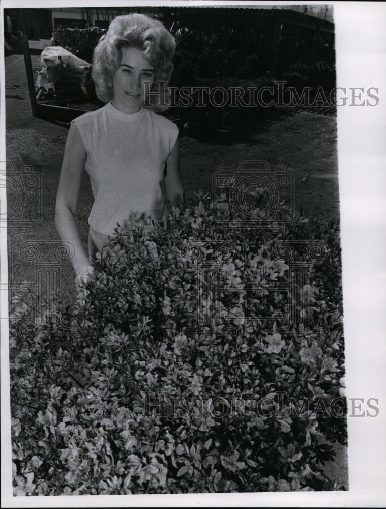 1966 Press Photo Rose Marie Glepko of Valley View - nef00030 - Historic Images