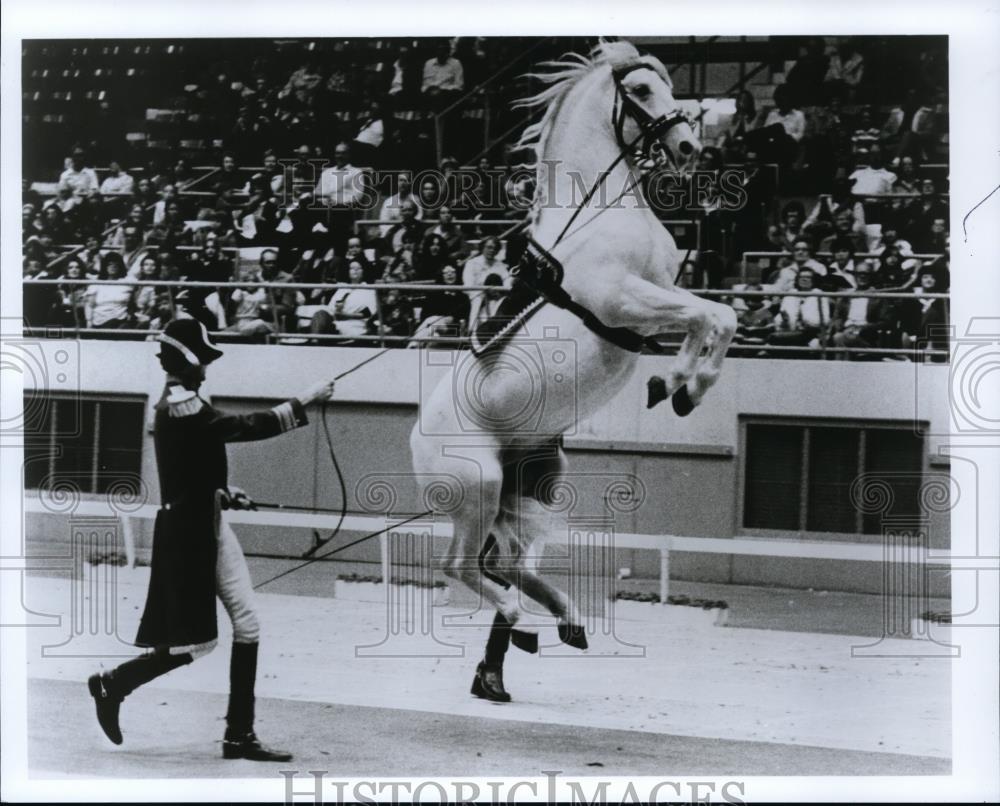 1990 Press Photo Lippizan Horses - spa21729 - Historic Images