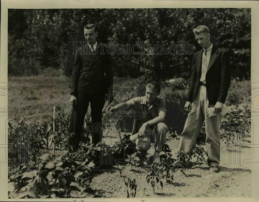 Press Photo Eugene Ternay William Finale Luther Karrer judging junior gardens - Historic Images