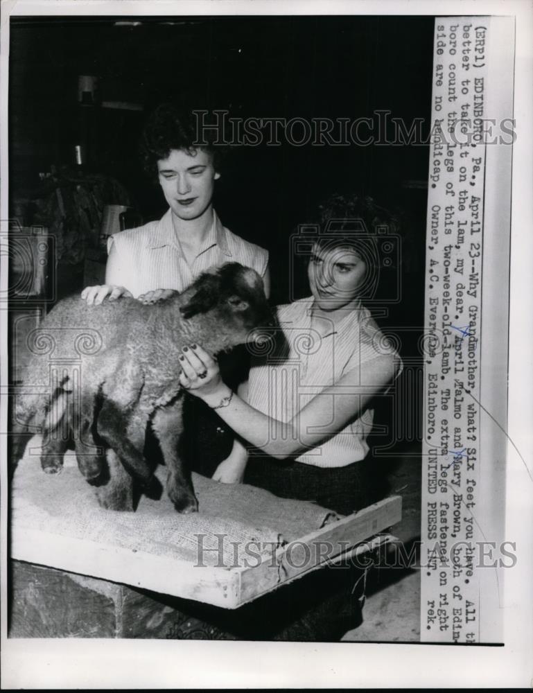 1959 Press Photo April Talmo &amp; Mary Brown tend to two week old lamb - nef01414 - Historic Images