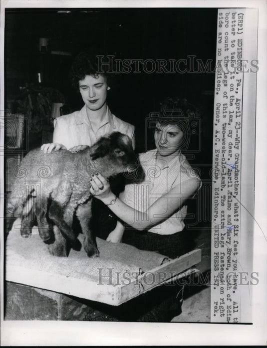 1959 Press Photo April Talmo & Mary Brown tend to two week old lamb - nef01414 - Historic Images