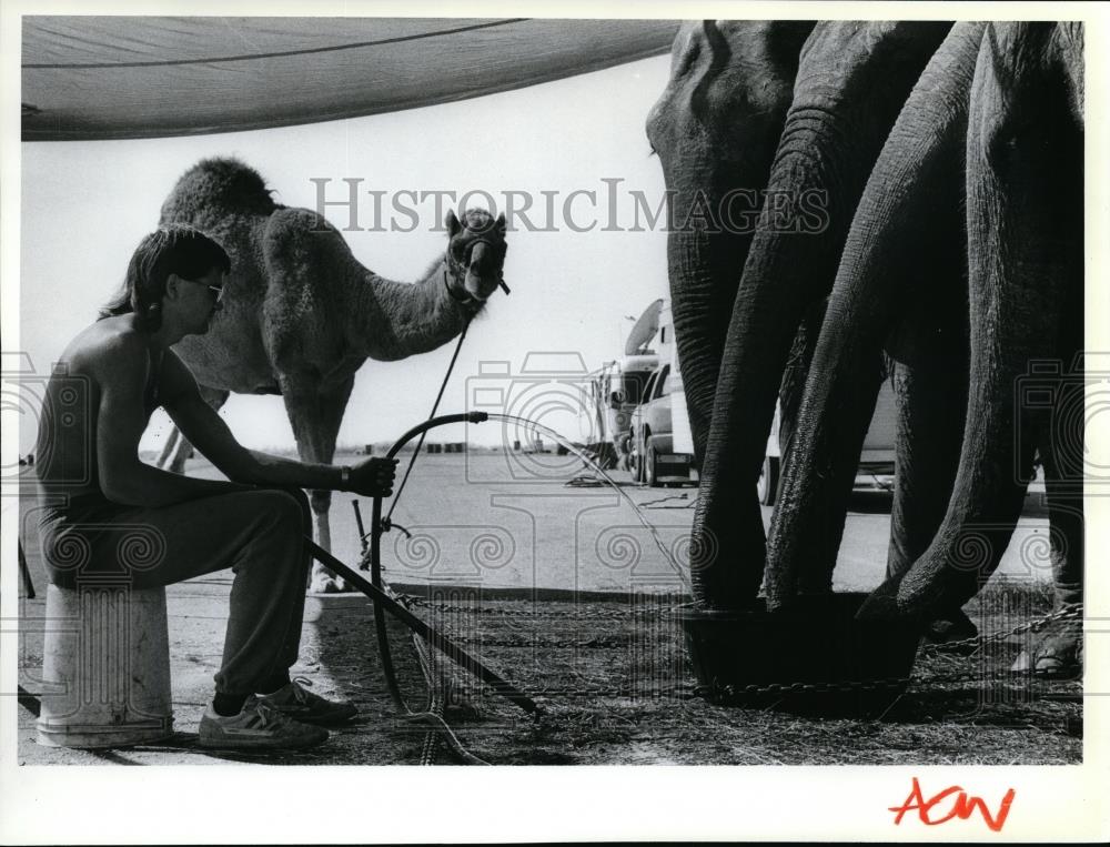 1990 Press Photo Robert Harris gives elephants a drink while Omar watches - Historic Images