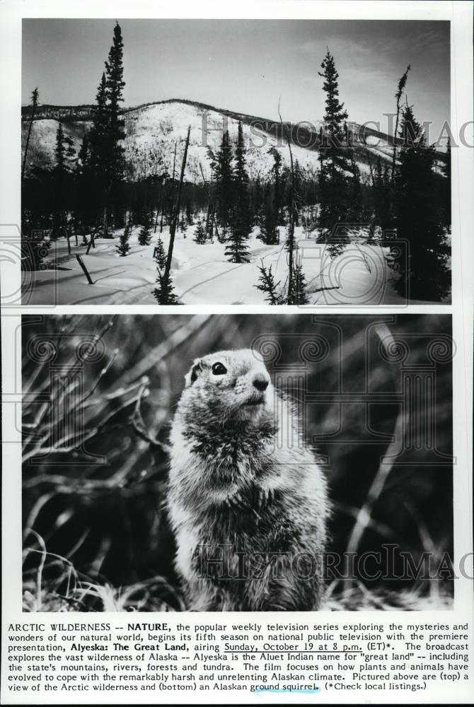 Press Photo Arctic Wilderness and Alaskan Ground Squirrel - spp00281 - Historic Images