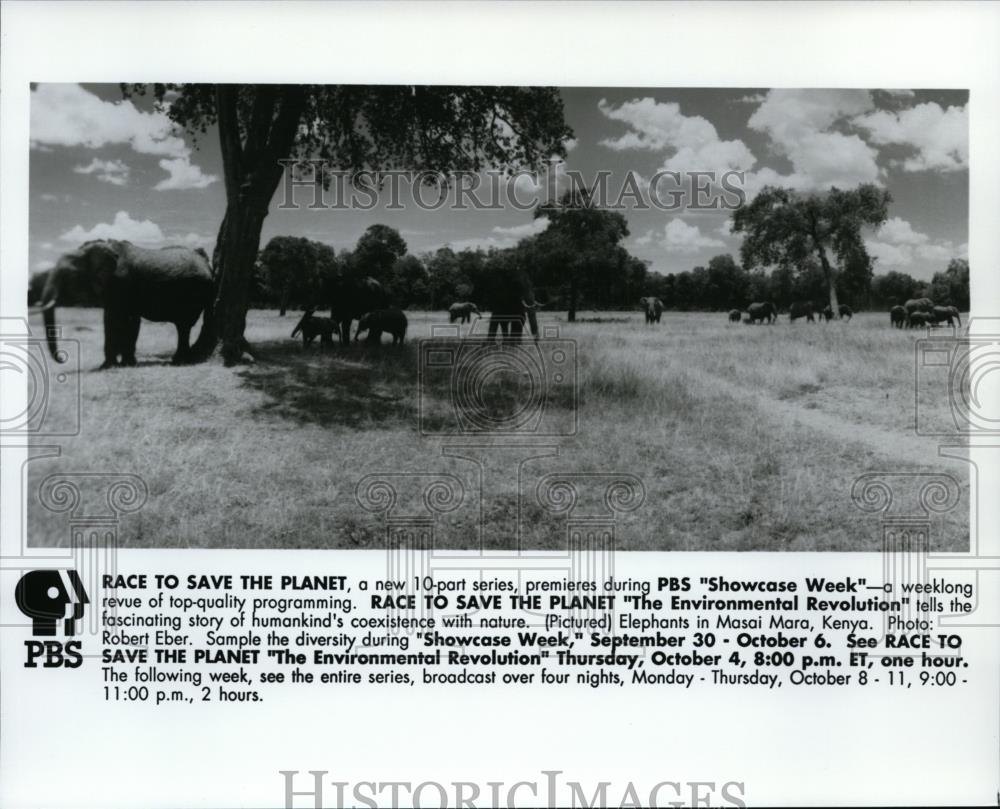 1990 Press Photo Elephants in Masai Mara Kenya - spp00848 - Historic Images