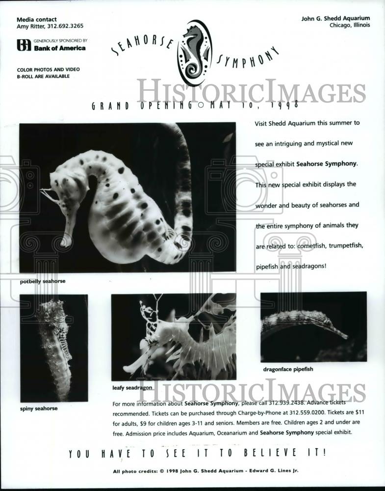 1998 Press Photo Shedd Aquarium, Chicago Illinois-Seahorse Symphony - Historic Images