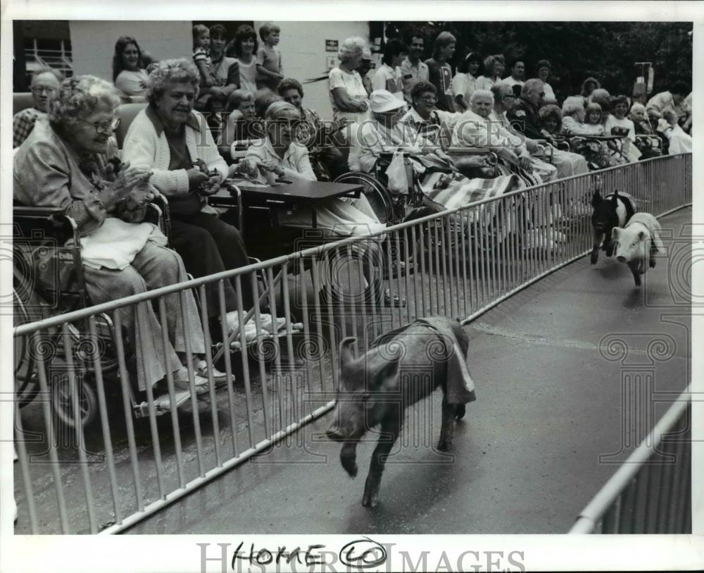 1989 Press Photo Pig racing at the Aristocrat Berea Skilled Nursing Facility - Historic Images