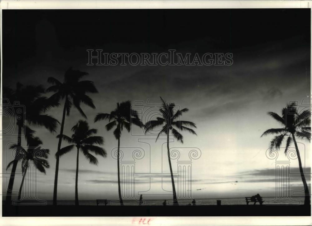 1985 Press Photo Pacific Evening-Palm trees and tourists etch evening sky. - Historic Images