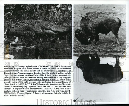 Press Photo PBS presents Conquering the Swamps and Across the Sea of Grass - Historic Images
