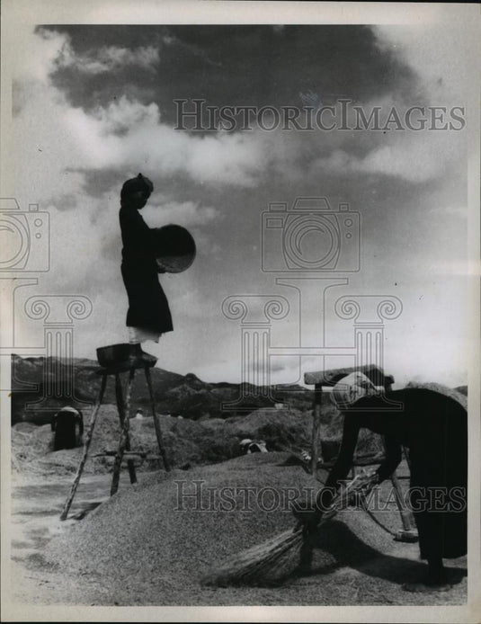 1967 Press Photo The family rice bowl. - Historic Images