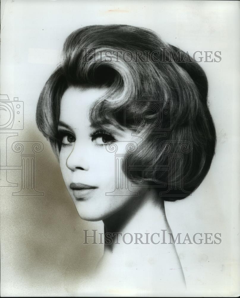 1964 Press Photo Hair Fashion - cvb71784 - Historic Images