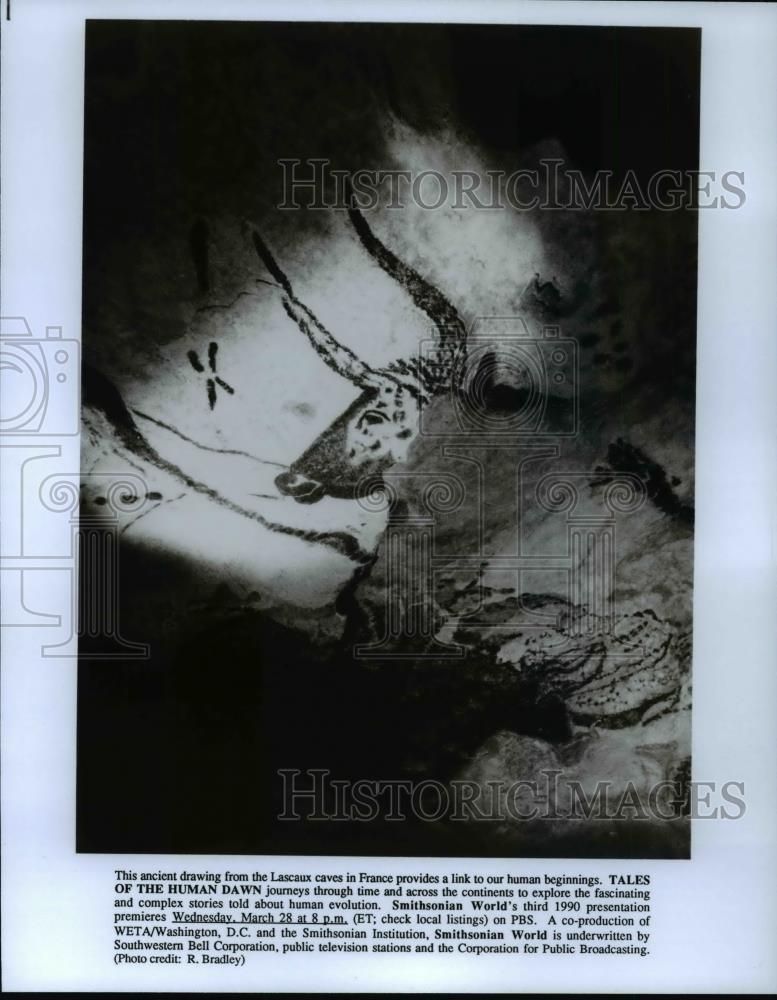 Press Photo Drawing at  Lascaux caves in France-Tales of the Human Dawn - Historic Images