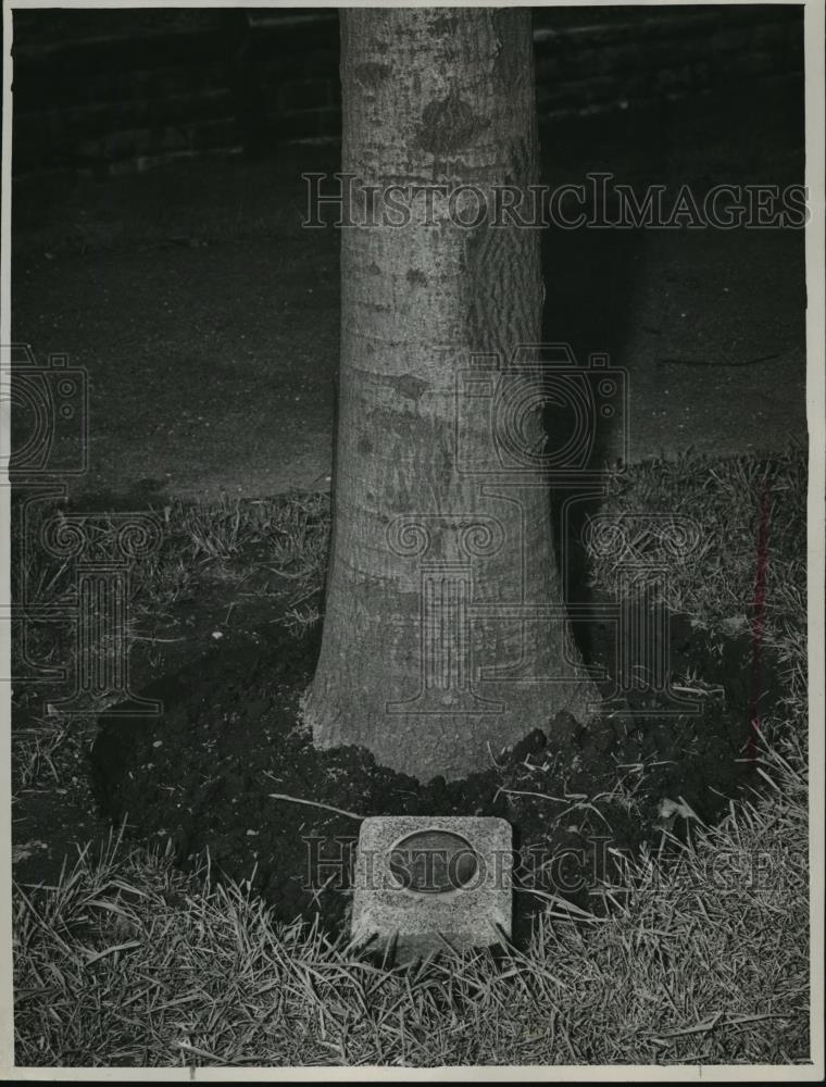 1947 Press Photo World War I Memorials, Liberty Row Marker - cvb71517 - Historic Images