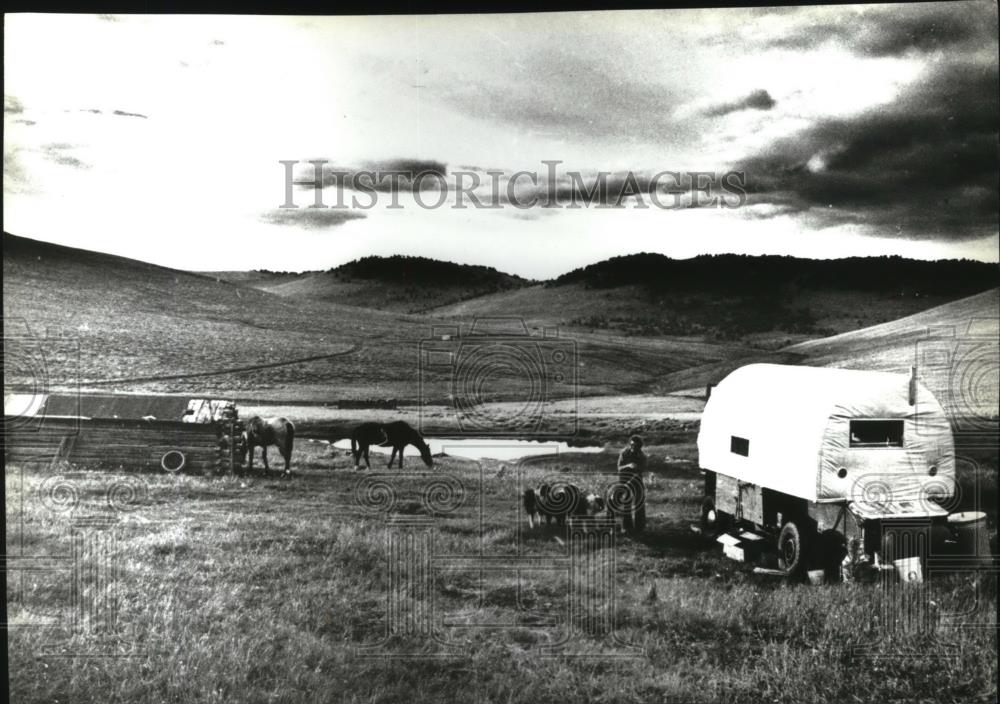 1982 Press Photo Sheep Lender - spa24953 - Historic Images