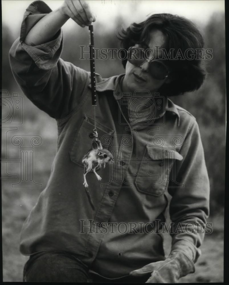 1984 Press Photo Biologist Janet A Randell Studies the Merriam kangaroo rats - Historic Images