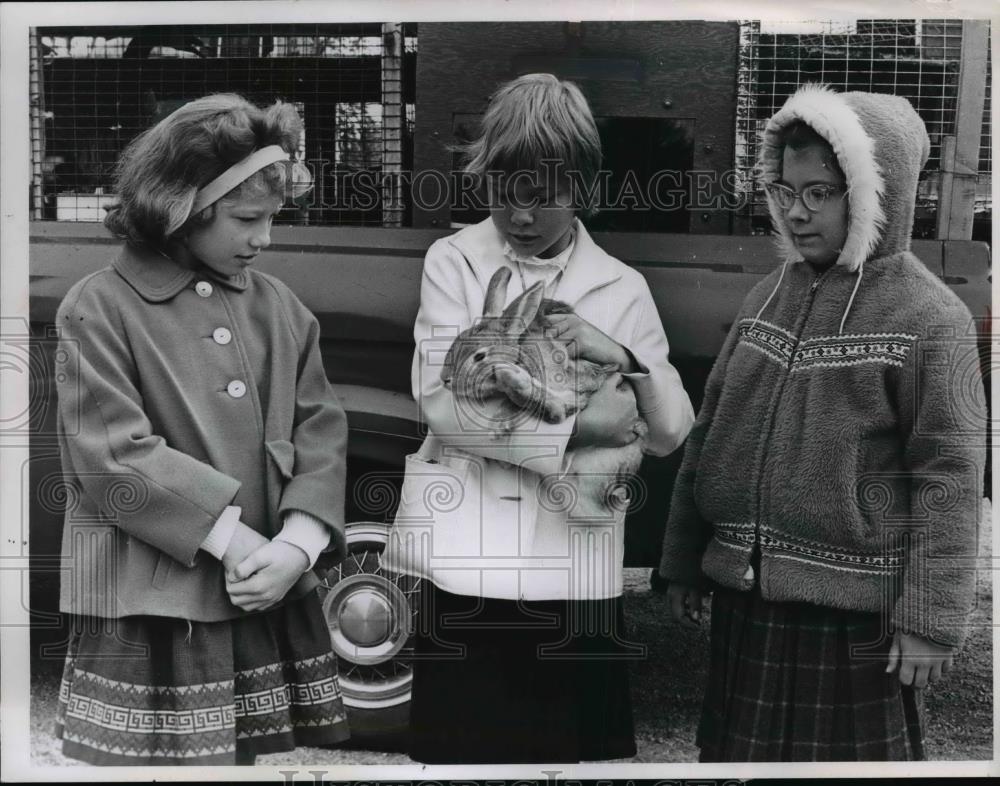 1964 Press Photo Lincoln School Students Pet Rabbit, Wickliffe OH - nee98852 - Historic Images