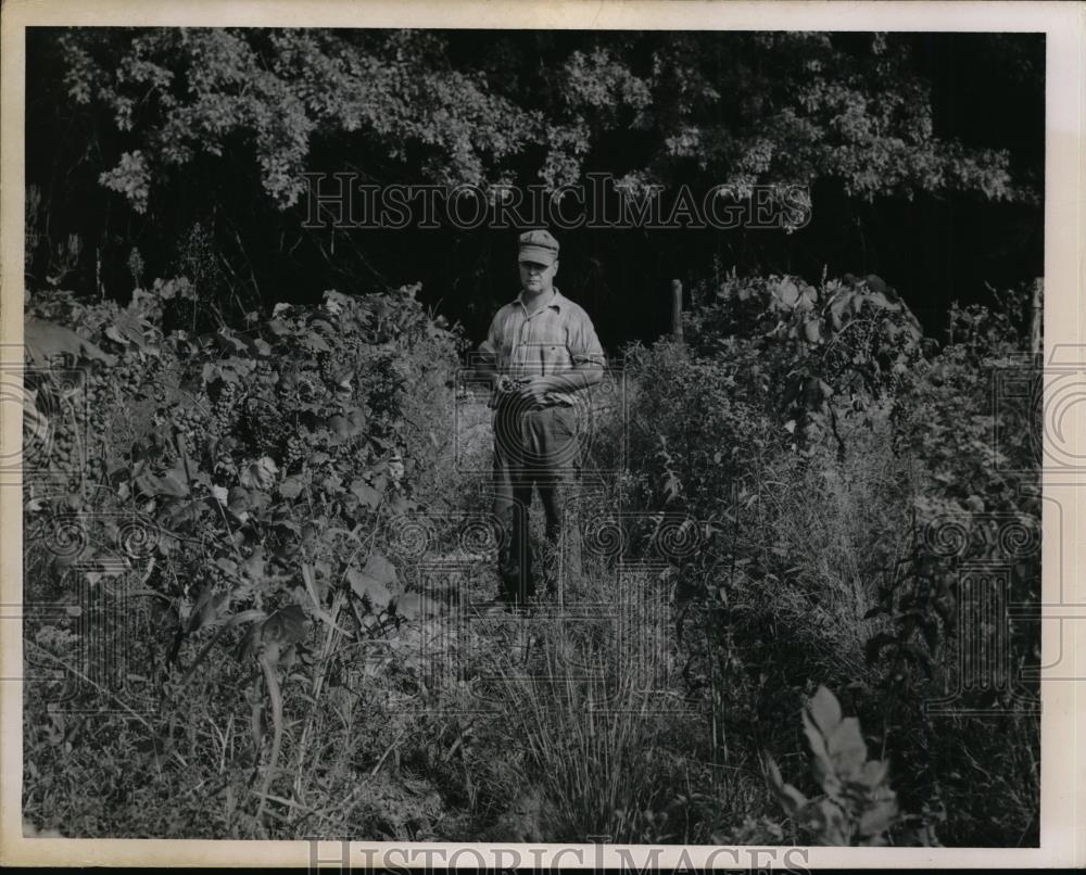 1950 Press Photo Ohio Man Joseph Kindera Standing in Brush - nee99703 - Historic Images