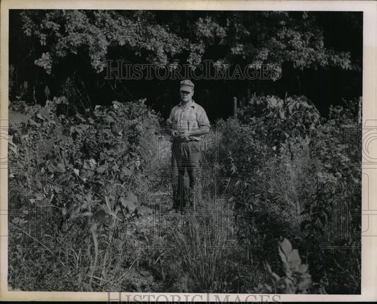 1950 Press Photo Ohio Man Joseph Kindera Standing in Brush - nee99703 - Historic Images
