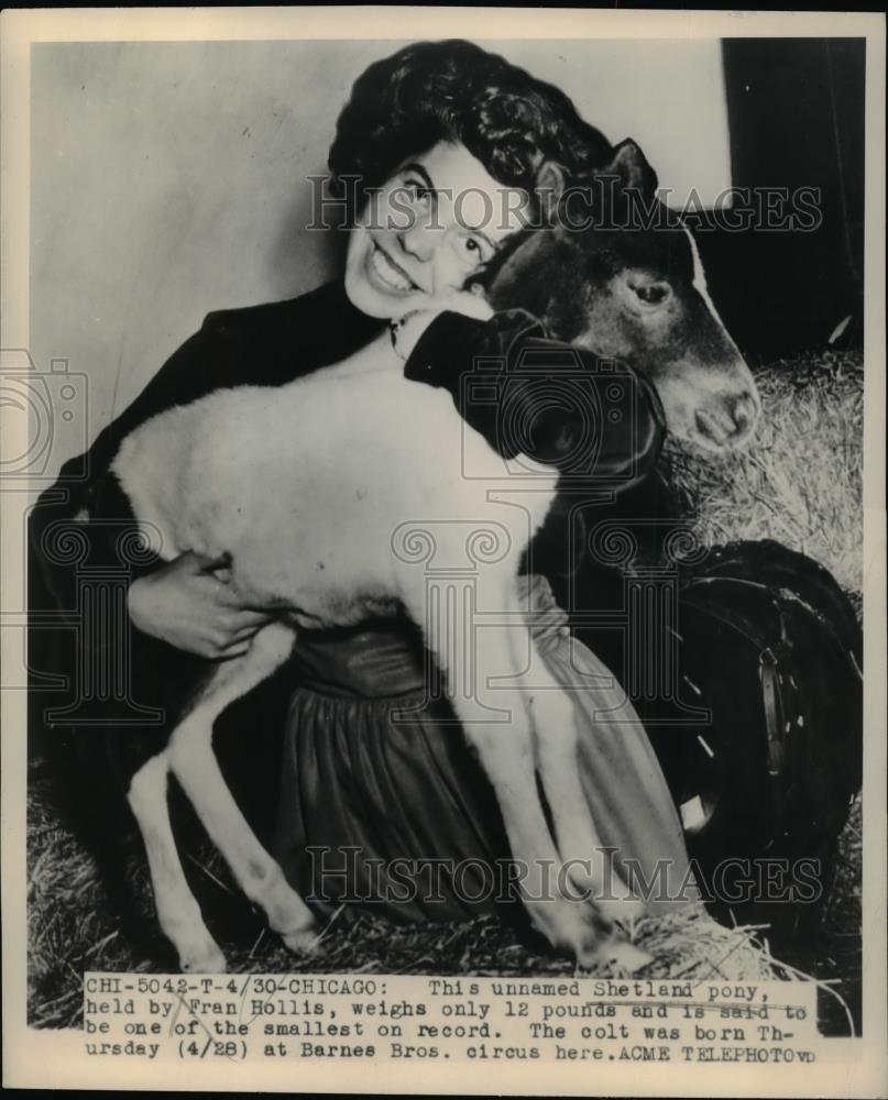 1949 Press Photo Unnamed Shetland pony held by Fran Hollis weight 12 pounds - Historic Images