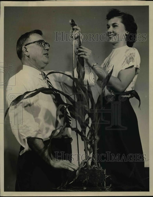 1952 Press Photo Norm Katsenberg measures hill of corn  - nee95313 - Historic Images